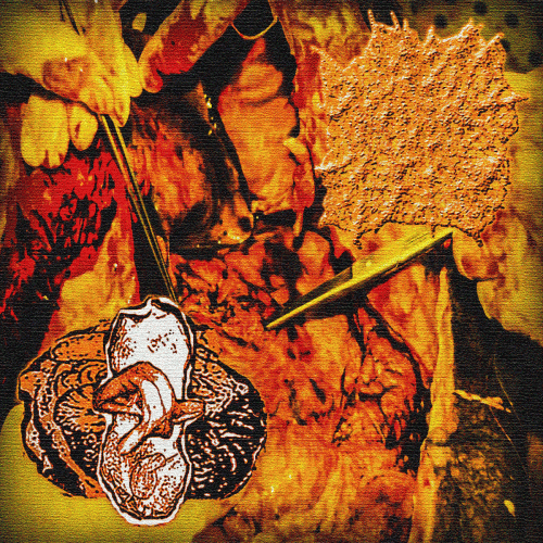 Sarcoptes (USA-1) : Sarcoptes - Blunted Torso